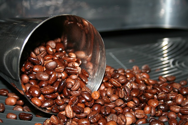 Oily coffee beans